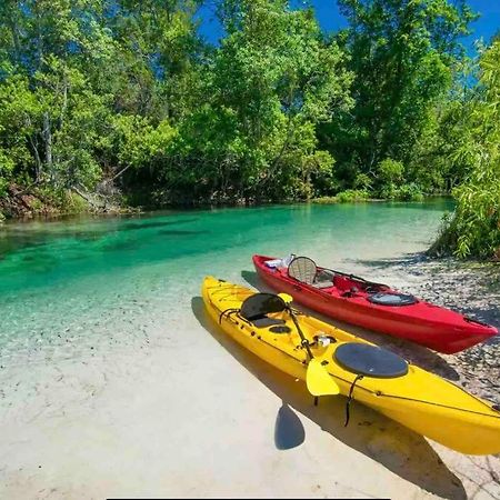Manatee Oasis Weeki Wachee Family Fun Pool Home سبرينغ هيل المظهر الخارجي الصورة