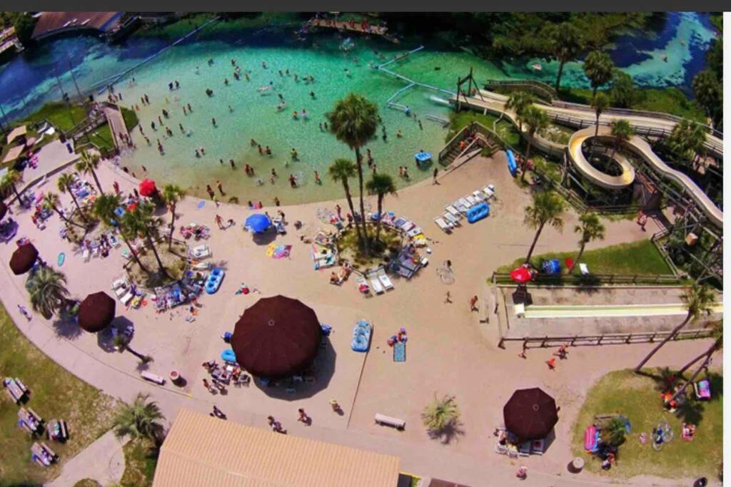 Manatee Oasis Weeki Wachee Family Fun Pool Home سبرينغ هيل المظهر الخارجي الصورة