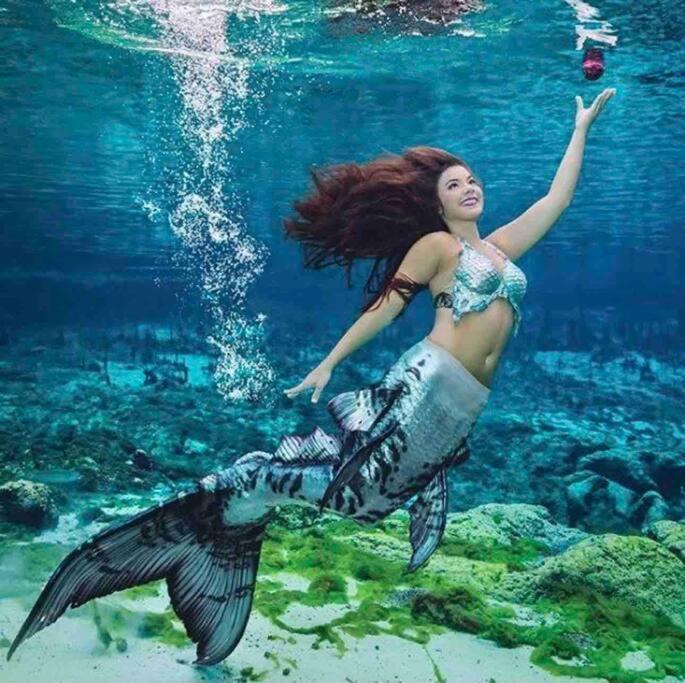 Manatee Oasis Weeki Wachee Family Fun Pool Home سبرينغ هيل المظهر الخارجي الصورة