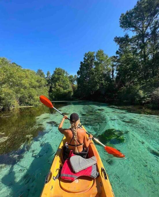 Manatee Oasis Weeki Wachee Family Fun Pool Home سبرينغ هيل المظهر الخارجي الصورة